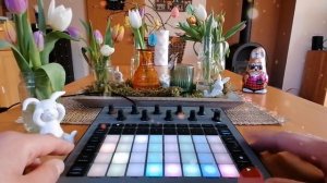 GROOVY EASTER 🐇DANCE JAM on NOVATION CIRCUIT RHYTHM🐰