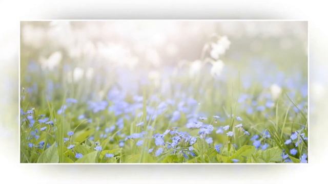 Сердце, окрылённое Любовью - Послания Любви