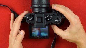 Canon 100 macro 2.8 L + Sigma MC-11 + Sony A9 vs A7RII Тестирование скорости фокуса Focus testing