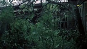 Сторона ль моя родимая / Земляниченька