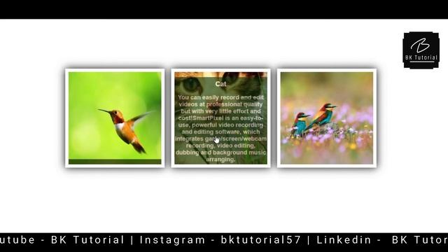 Create a Image Overlay Effect Text Over an Image Hover Without JavaScript By #BKTutorial