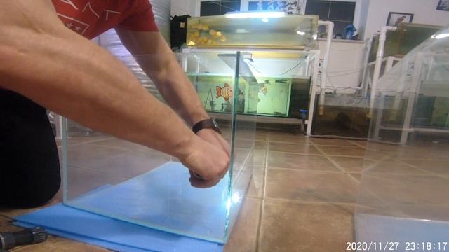 Новые нерестовики. Часть 1. Перелив смотреть онлайн