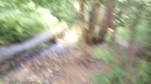 Голосов овраг