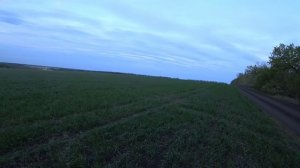 Опрыскав и офигел?  Гербицид, инсектицид, карбамид,  фунгицид  на пшеницу за один проход