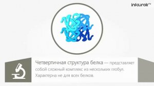 Белки   Биология 10 класс #8   Инфоурок