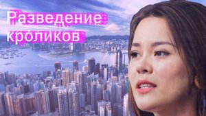 Разведение кроликов