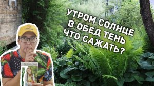 Что посадить на участке с разной освещенностью?