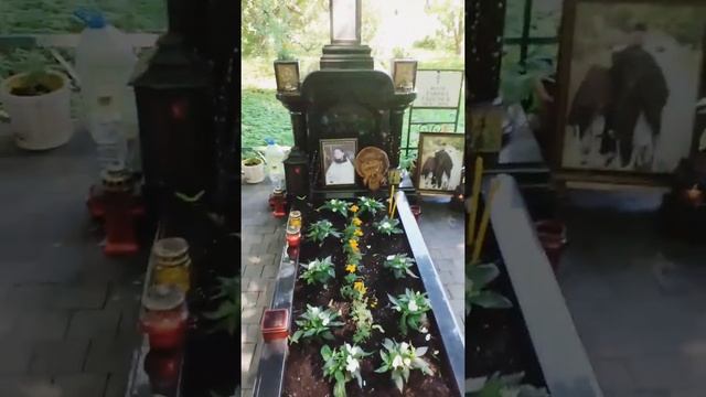 УБИЕННЫЙ ЗА ХРИСТА ДАНИИЛ СЫСОЕВ ( ХРАМ СПАСА НЕРУКОТВОРНОГО МОСКВА , УЛ. РЯБИНОВАЯ ) смотреть онлайн