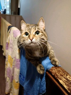 играем в schoolboy