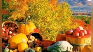 Ознакомление с окружающим миром: "Осень-пора сбора урожая"