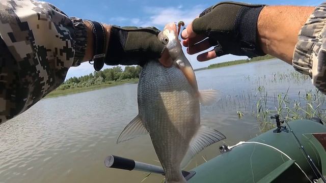 ВОТ ЭТО РЫБАЛКА ! ЛЕЩ НА СПИННИНГ !!! Джиг с лодки . смотреть онлайн