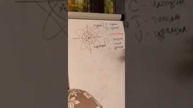 Связь символа Звезда Руси, ДНК Человека и Земли