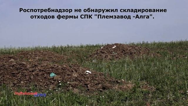 Чем занимается Роспотребнадзор?