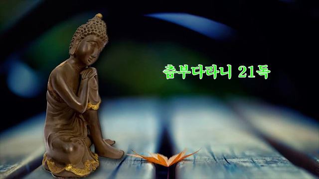 츰부다라니 21독, 지허스님 독송 / 지장보살 츰부다라니 смотреть онлайн