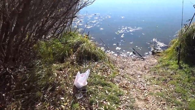 Рыбалка на Ишиме . Поехал за Налимом а поймал Язя. Язь на спиннинг ! смотреть онлайн