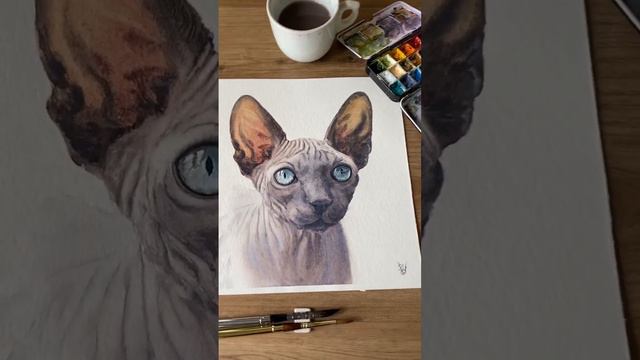 Gato Sphynx em Aquarela - aula 20 #art #painting #cat