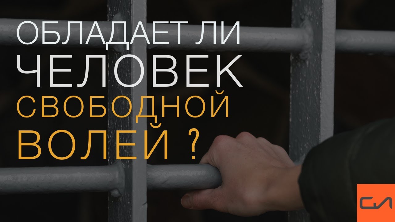 Обладает ли человек свободной волей? | Андрей Вовк | Слово Истины