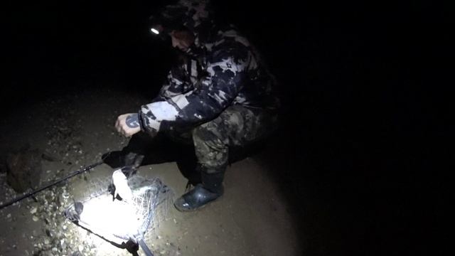 Рыбалка у АЭС Удомля. Ночные приключения. смотреть онлайн