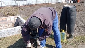 Подготовка земли к посадке овощей.