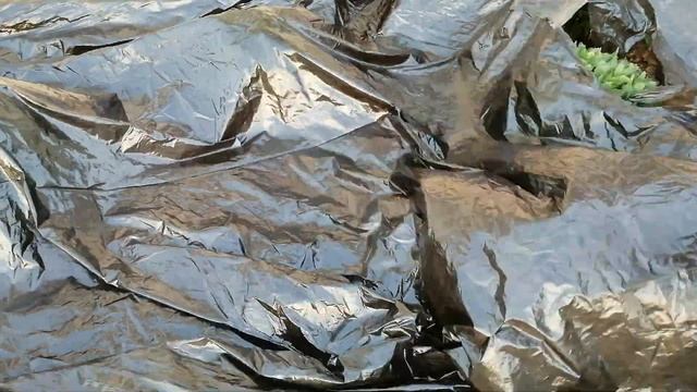 ПРЕОБРАЖЕНИЕ УЧАСТКА | ЧАСТЬ 3 | The POSE Family смотреть онлайн