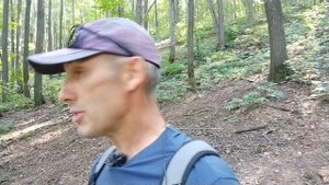 Большое пешее путешествие: Каменная Чаша - Солнечная Поляна - Богатырь - Ширяево(кормим лису)