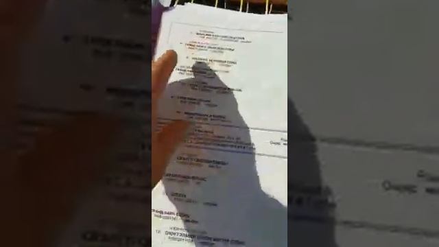 Документы на щенков хаски смотреть онлайн