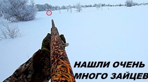 12 ЗАЙЦЕВ!!! Закрытие охоты на зайца / MAX HUNTER