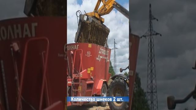 Мобильный кормораздатчик для КРС, прицепной кормосмеситель для кормления коров Колнаг видео.mp4