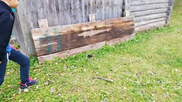 Разбил фотоаппарат смотреть онлайн