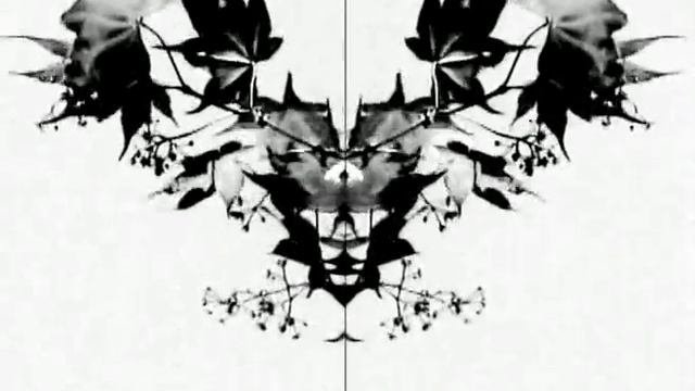 ORDER / DISORDER