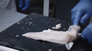 Обучение технологии переработки рыбы и морепродуктов Ч.2