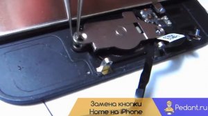 Замена кнопки Home на iPhone