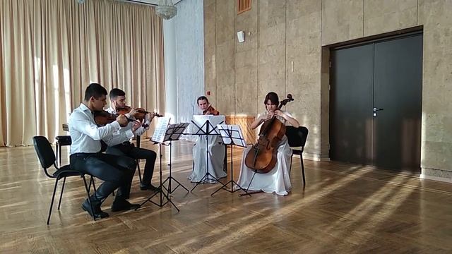 И Штраус "Полька пиццикато" смотреть онлайн