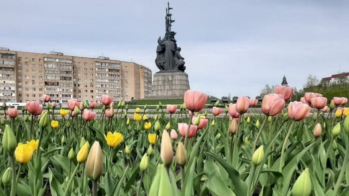 40 тысяч тюльпанов посадят на клумбах Сургута