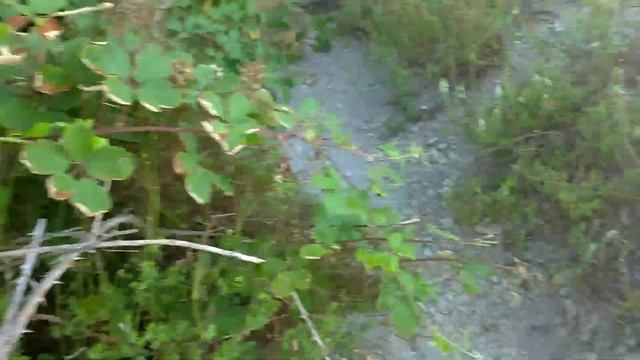 ОЛЬГИНКА/ГДЕ МОЖНО ПОДНЯТЬСЯ В ГОРЫ/ОДИНОЧНАЯ ПРОГУЛКА ПО НАБЕРЕЖНОЙ/ЧЕРНОЕ МОРЕ/ИЮЛЬ 2021 смотреть онлайн