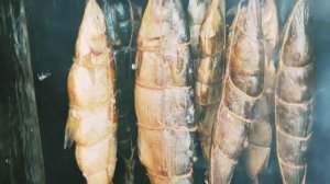 3 Ошибки при копчении рыбы Сырок и Скумбрия холодного копчения