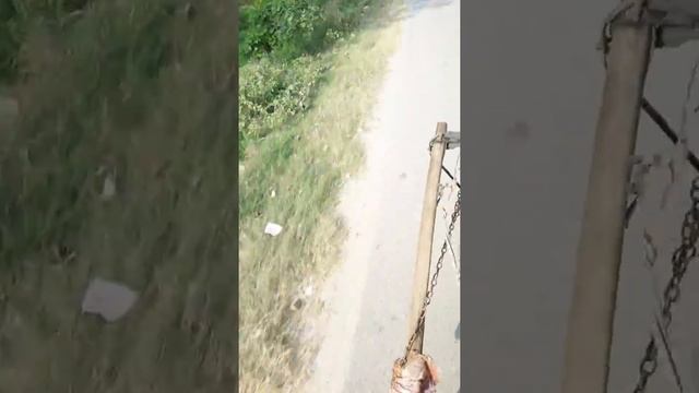 Bhai Heera Ghodi baggi wale meashwari code Saharanpur contact number 97200 966 59