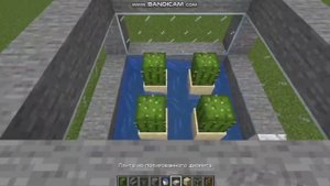 КАК СДЕЛАТЬ АВТО ФЕРМУ КАКТУСОВ