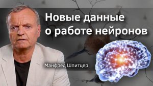 Новые данные о работе нейронов. Профессор Шпитцер. Verba Mayr