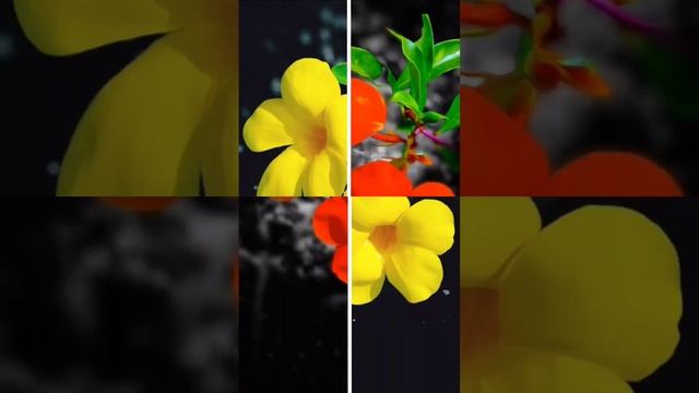 4k wallpaper ?#4kwallpaper #shortvideo   #rjDeepak___ #beautiful #Flower