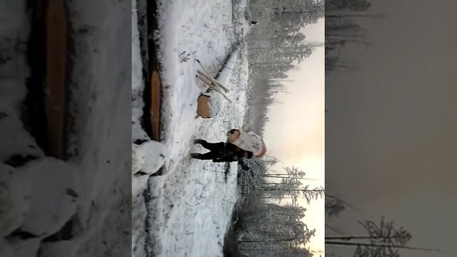 Якутия Просека