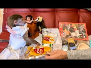 Люся со Степашкой очень мило провели РАСПАКОВКУ, Люся одела ЛУЧШЕЕ ПЛАТЬЕ)))