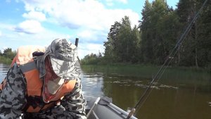 Поклевки одна за одной по утру. Кто рано встает у того клюет. Озеро Пено на Верхней Волге.