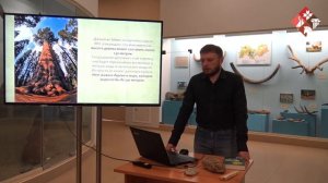 Гигантские деревья и кремниевая эпоха. Старые сказки, новые мифы