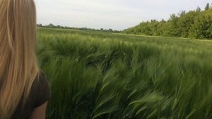 Ячмень, о котором мечтает каждый фермер