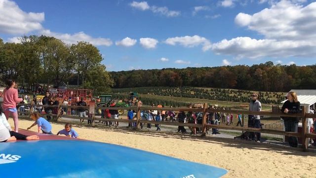 Прыгаем на огромном батуте на ферме. We play with trampoline on Gaver farm. смотреть онлайн
