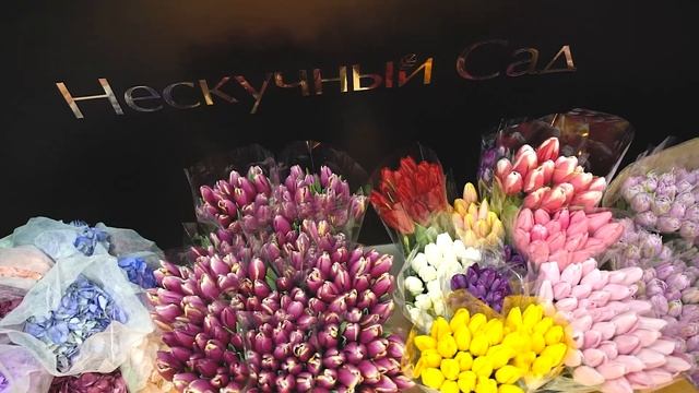 Подарите женщинам весну вместе с «Нескучным садом» смотреть онлайн