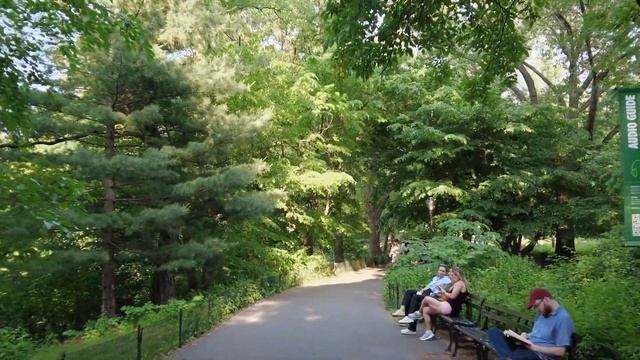 Belvedere Castle inside Central Park #walkingtour #newyork #travel смотреть онлайн
