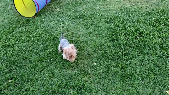 Я всех расстроила и довела до слёз? смотреть онлайн