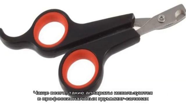 Ножницы для стрижки когтей у кошек и котов